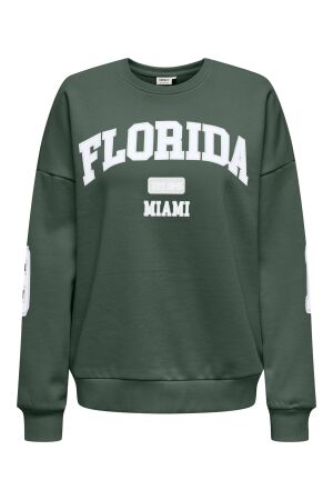 Only Only onlvictory l/s o-neck fit swt Sweater pineneedle florida (bright white)