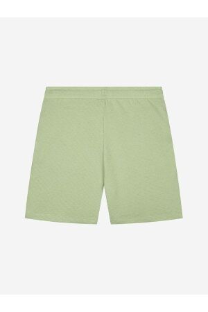 AB Lifestyle AB Lifestyle prestige short v2 ab.ss25034 Korte broeken desert sage