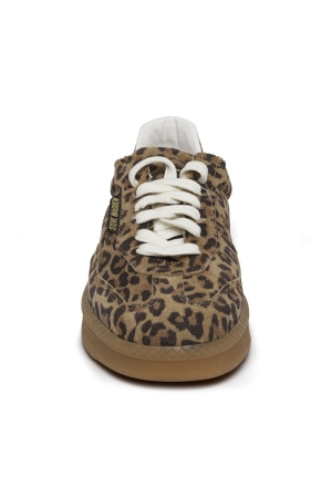STEVE MADDEN STEVE MADDEN euphoria sm11003591 Sneakers leopard