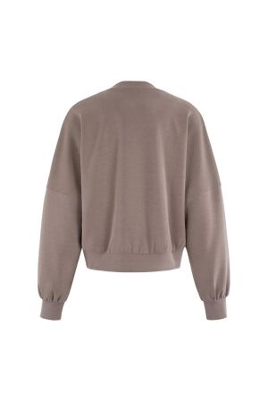 Moscow Moscow 66-04-again Sweater 460-1 taupe solid