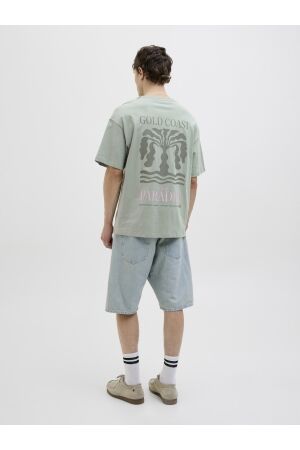 Jack & Jones Jack & Jones jjeames tee ss crew neck Print T-shirts iceberg green