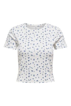 Only Only onlfenja life ss aop top jrs noos T-shirts cloud dancer blue flowers