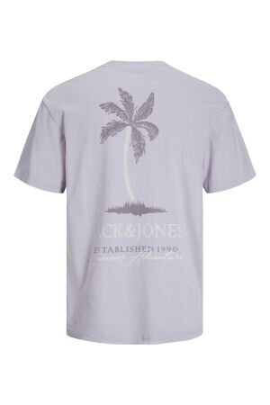 Jack & Jones Jack & Jones jjsummer vibes tee ss crew neck ln T-shirts languid lavender