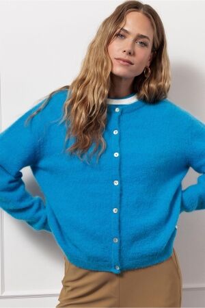 Studio Anneloes Studio Anneloes bibi mohair cardigan 13119 Vest 5900 bright blue