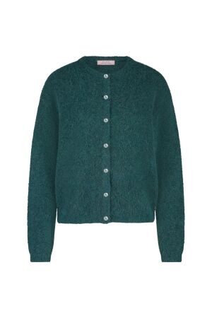 Studio Anneloes Studio Anneloes bibi mohair cardigan 13136 Vest 7800 bottle green