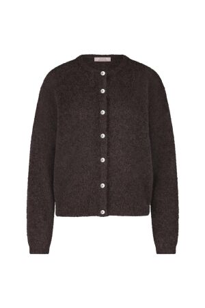 Studio Anneloes Studio Anneloes bibi mohair cardigan 13138 Vest 8700 espresso