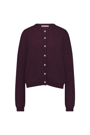 Studio Anneloes Studio Anneloes bibi mohair cardigan 14140 Vest 3800 blackberry