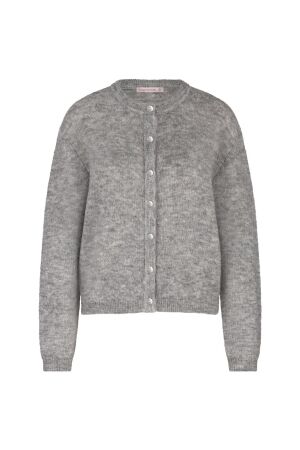 Studio Anneloes Studio Anneloes bibi mohair cardigan 14140 Vest 9500 grey melange