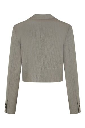 Elvira Casuals Elvira Casuals blazer claire e4 25-018 Blazers 384 taupe stripe