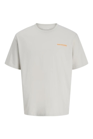 Jack & Jones Jack & Jones jjlemon tee ss crew neck Print T-shirts 4894924 glacier gray