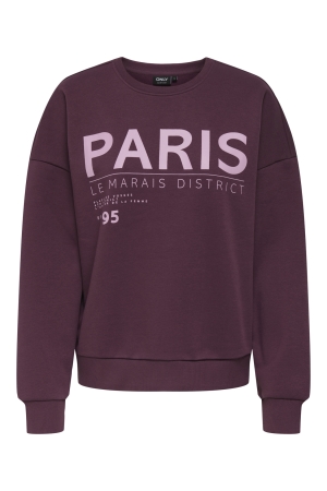 Only Only onlzenja boxy l/s box swt Sweater mauve wine paris
