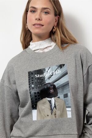 Studio Anneloes Studio Anneloes charlie sweater 13310 Sweater 9500 grey melange