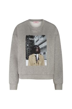 Studio Anneloes Studio Anneloes charlie sweater 13310 Sweater 9500 grey melange