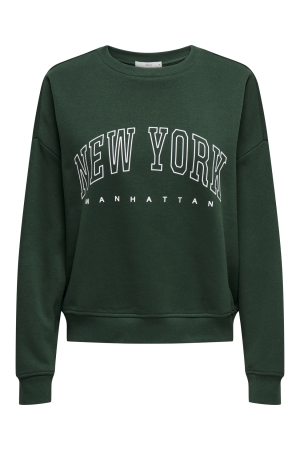 Only Only onlsweat life l/s crew o.size state noos Sweater pine grove new york