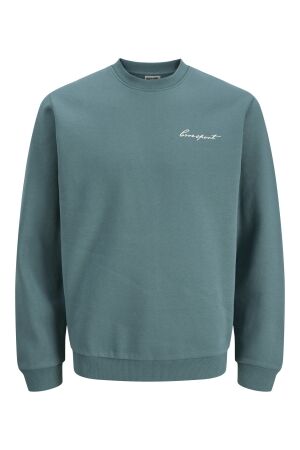 Jack & Jones Jack & Jones jcodust script sweat crew neck 5035707 north atlantic