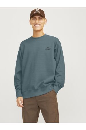Jack & Jones Jack & Jones jprblachad branding sweat crew neck ln Sweater goblin blue