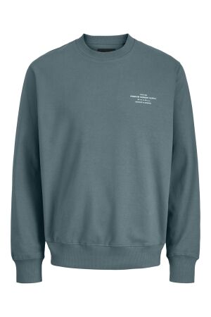 Jack & Jones Jack & Jones jprblachad branding sweat crew neck ln Sweater goblin blue