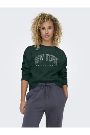 Only Only onlsweat life l/s crew o.size state noos Sweater pine grove new york