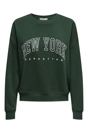 Only Only onlsweat life l/s crew o.size state noos Sweater pine grove new york