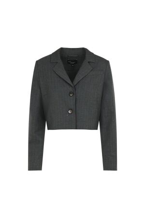 Elvira Casuals Elvira Casuals blazer maxime short e5 25-018 Blazers 1034 grey bronzed