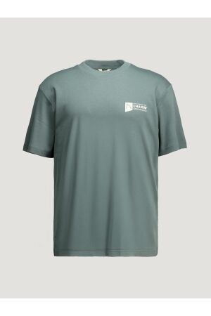 Chasin Chasin ido tee Print T-shirts e5000-balsam green E53 - DK.GREEN