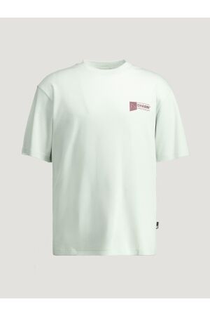 Chasin Chasin ido tee Print T-shirts e6014-smoke E51 - L.GREEN