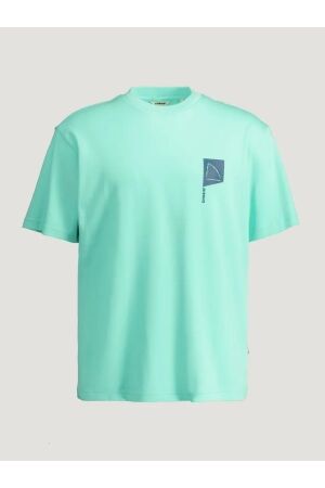 Chasin Chasin reco Print T-shirts e6021-cabbage