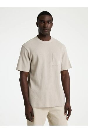 Chasin Chasin novo Print T-shirts e2001-silver lining