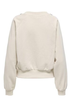 Only Only onljett l/s o-neck emb. box swt 15355912 Sweater 4856683 birch embellishment