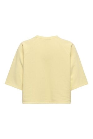 Only Only onlcora s/s print o-neck ub swt 15347037 Sweater 4992003 sunlight good exotic roots