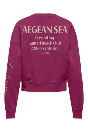 Only Only onltabba l/s round neck ub swt 15372426 Sweater 4993875 sangria pacific coast