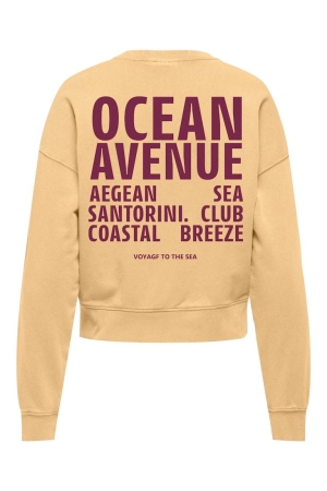 Only Only onltabba l/s round neck ub swt 15372426 Sweater 4993876 sunburst ocean avenue