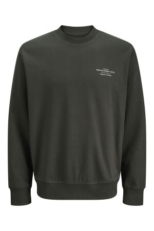 Jack & Jones Jack & Jones jprblachad branding sweat crew neck ln Sweater peat