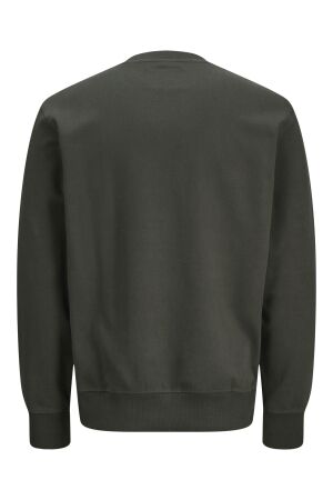 Jack & Jones Jack & Jones jprblachad branding sweat crew neck ln Sweater peat