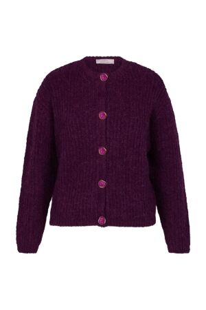 Studio Anneloes Studio Anneloes bibi lavee cardigan 13404 Vest 3800 blackberry