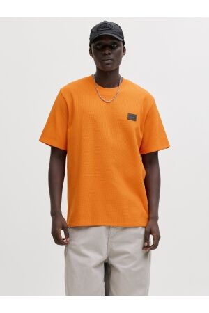 Jack & Jones Jack & Jones jjdaytona tee ss crew neck sn 12294714 Print T-shirts exuberance