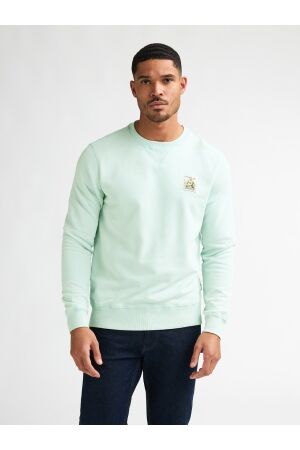 Petrol Petrol sweater round neck m-1060-swr311 Sweater 6181 cool mint