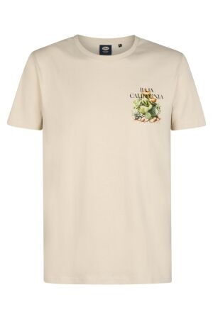 Petrol Petrol t-shirt ss m-1060-tsr688 Print T-shirts 0112 seashell