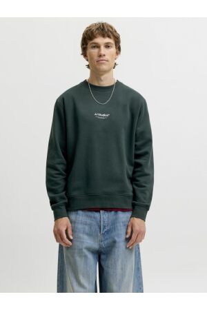 Jack & Jones Jack & Jones jjesoho sweat crew neck noos 12278791 Sweater 5027492 scarab