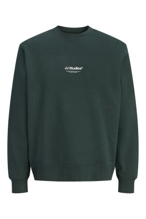 Jack & Jones Jack & Jones jjesoho sweat crew neck noos 12278791 Sweater 5027492 scarab