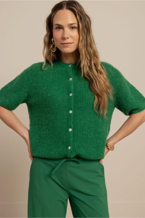 Studio Anneloes Studio Anneloes bibi sl cardigan 13811 Vest 7200 grass green