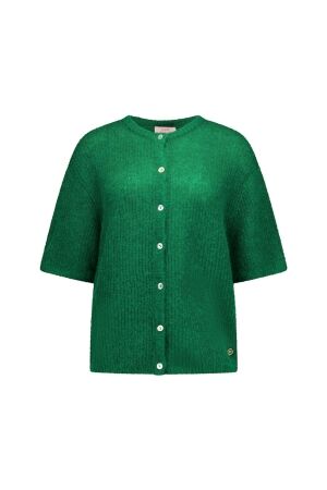 Studio Anneloes Studio Anneloes bibi sl cardigan 13811 Vest 7200 grass green