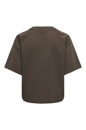 Only Only onlofelia ss raglan ub cc swt 15377588 Trui korte mouw 5050954 bracken