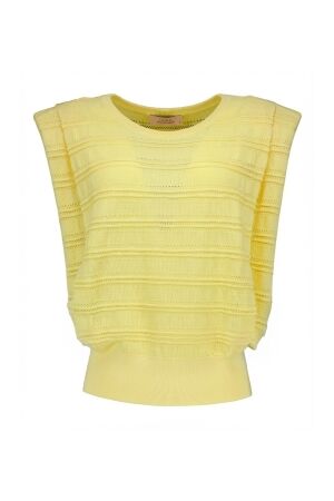 Studio Anneloes Studio Anneloes leona knitted top 13921 Trui korte mouw 2100 butter yellow