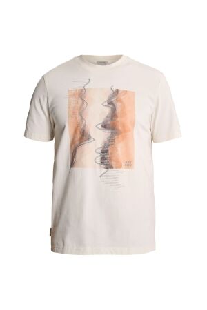 Cast Iron Cast Iron regular fit peached jersey ctss2608509 Print T-shirts 7555 white down