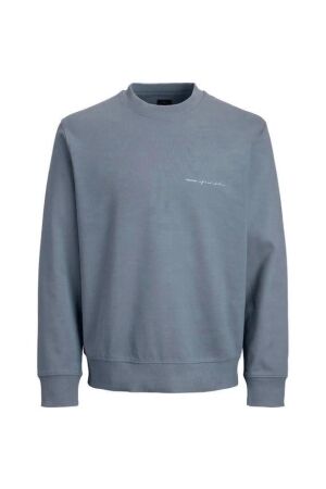 Jack & Jones Jack & Jones jprblaowen branding crewneck sweat 12292205 Sweater 5053160 turbulence