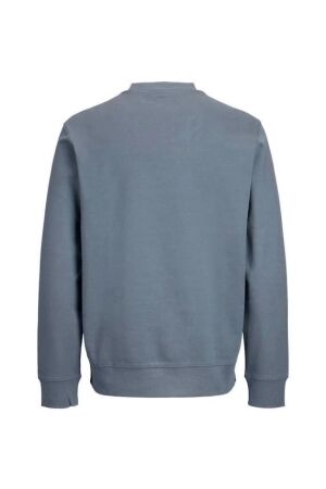 Jack & Jones Jack & Jones jprblaowen branding crewneck sweat 12292205 Sweater 5053160 turbulence