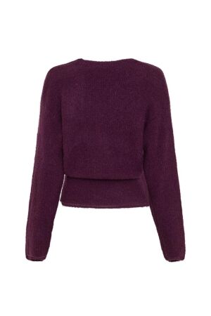 MSCH Copenhagen MSCH Copenhagen mschbondie hope v pullover 20299 Trui potent purple