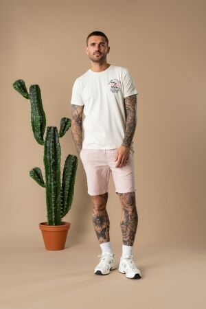 Petrol Petrol t-shirt ss classic print m-1060-tsr625 Print T-shirts 0112 seashell