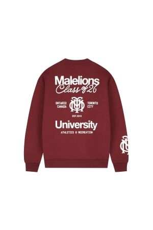 Malelions Malelions malelions men class of 26 sweater mmb50026044 Sweater 45004 burgundy